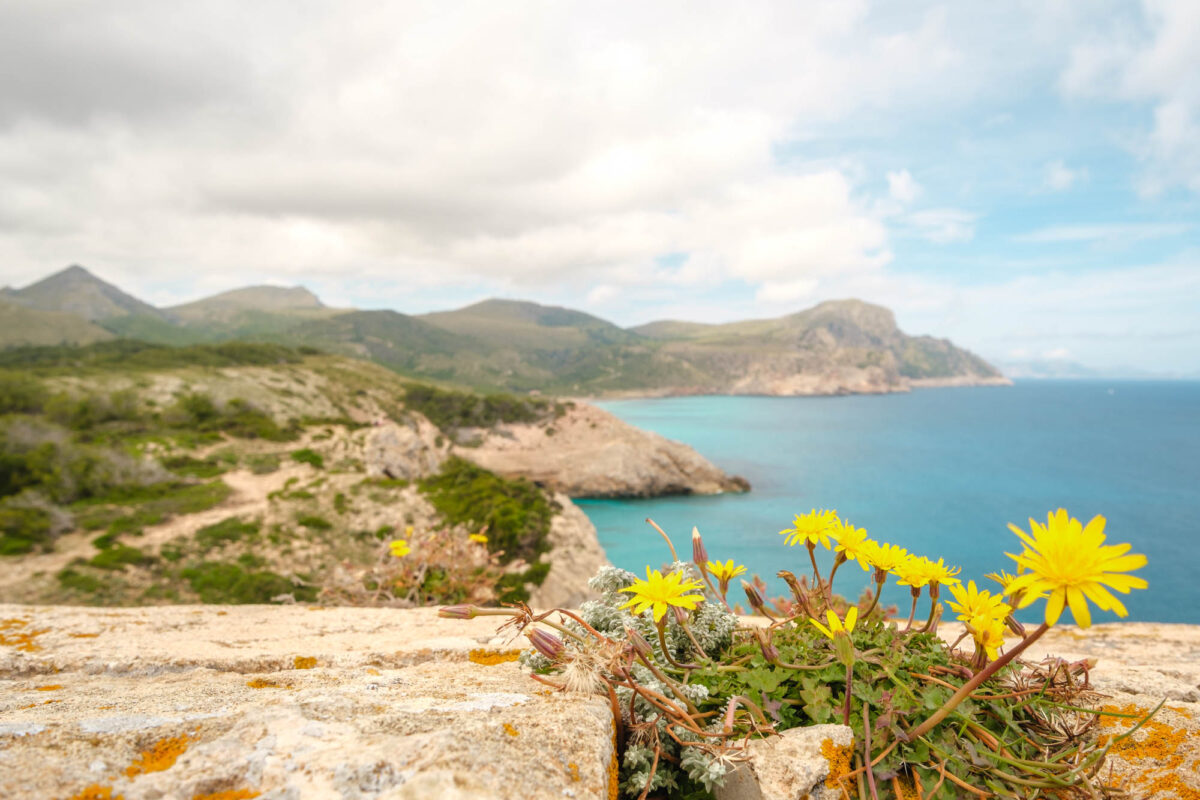 Torre Matzoc