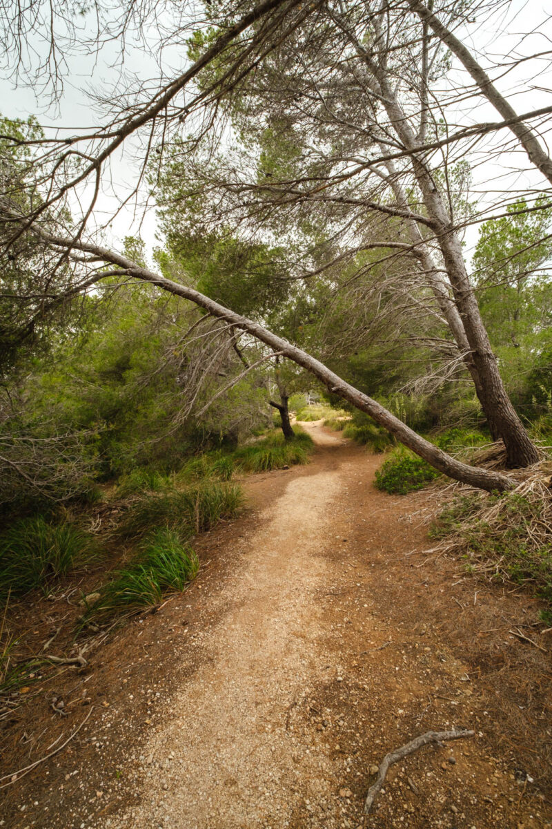 Parc natural de la península de Llevant