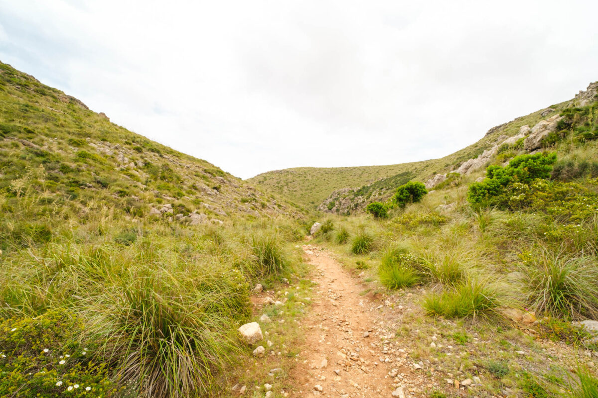 Parc natural de la península de Llevant