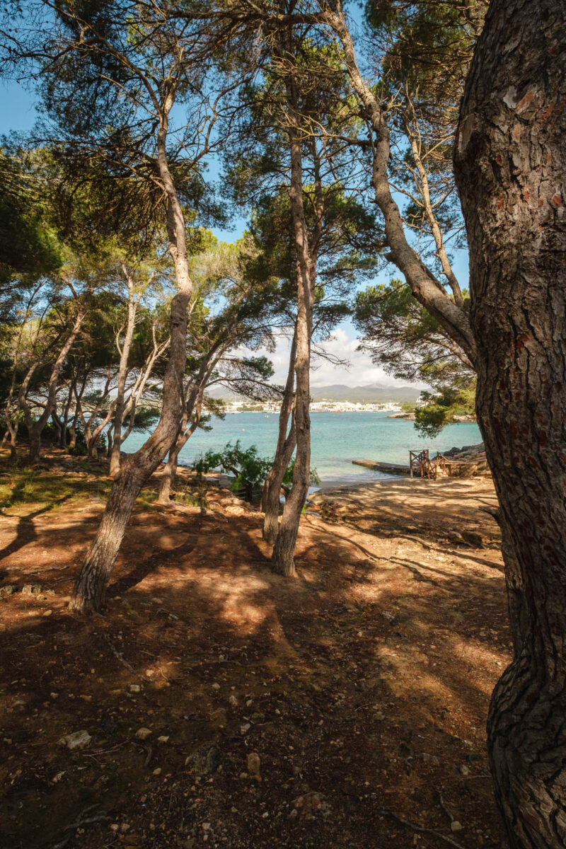 Portocolom