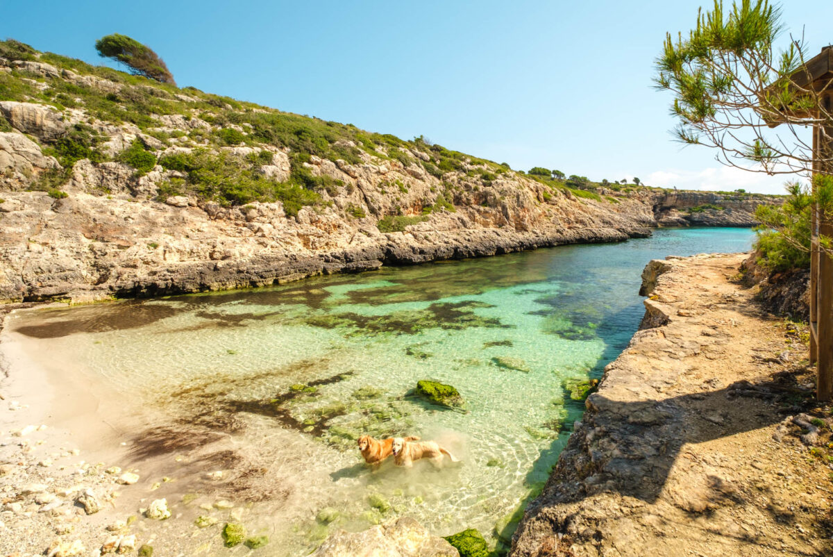 Cala Bota
