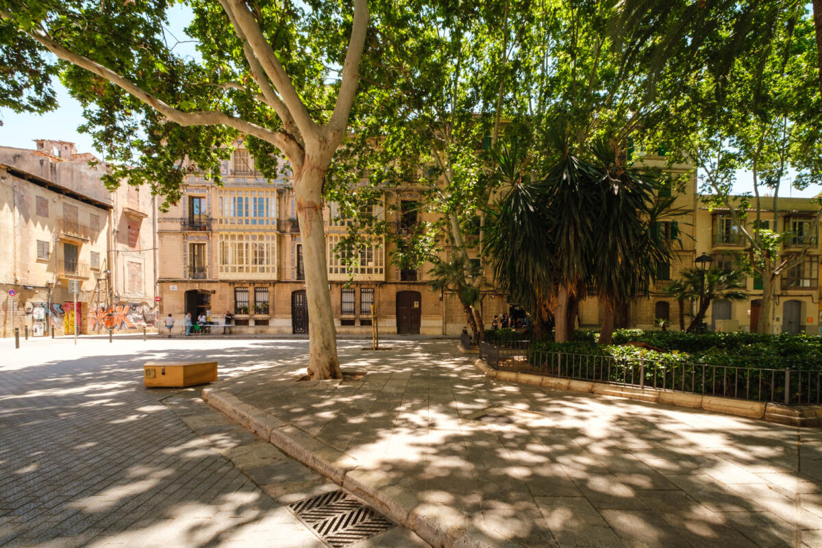 Palma