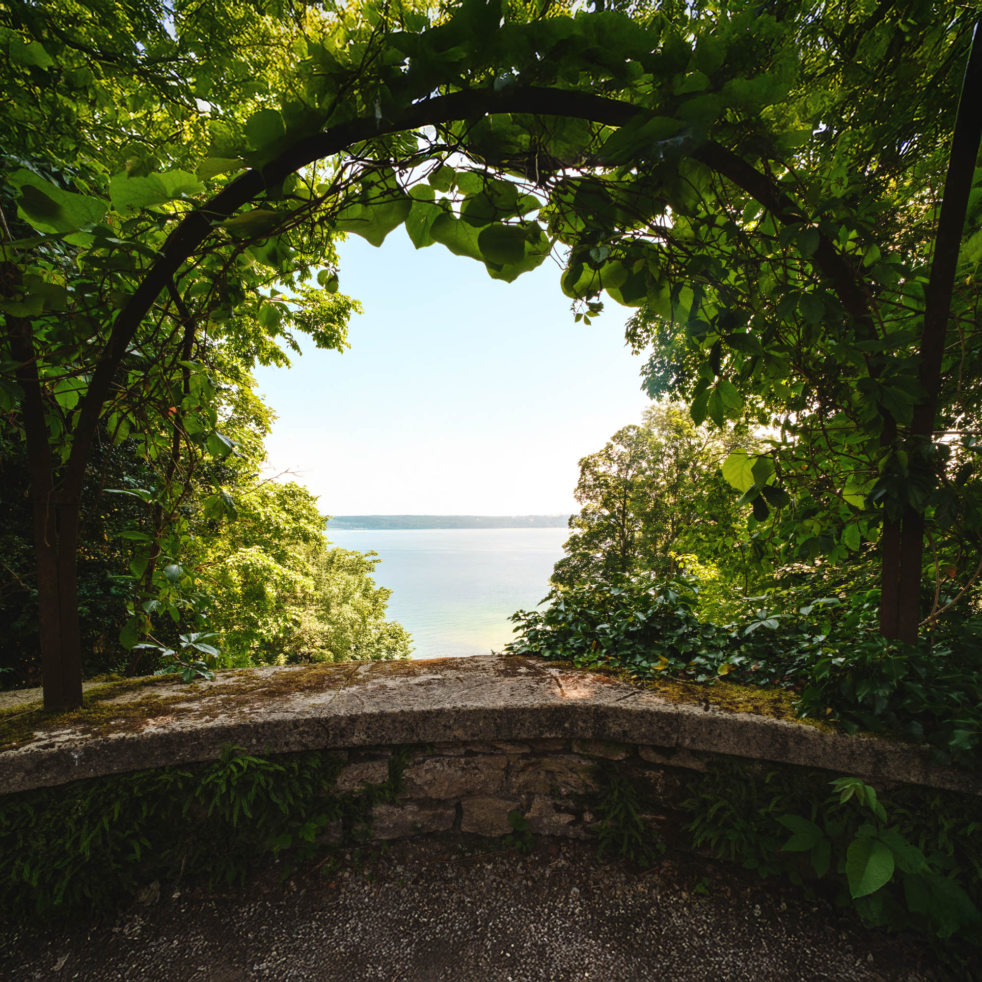 Portal zum Sommer
